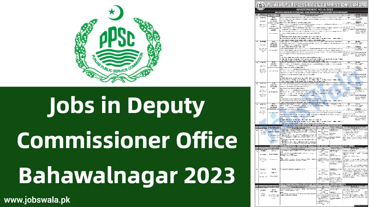 Jobs in Deputy Commissioner Office Bahawalnagar 2023