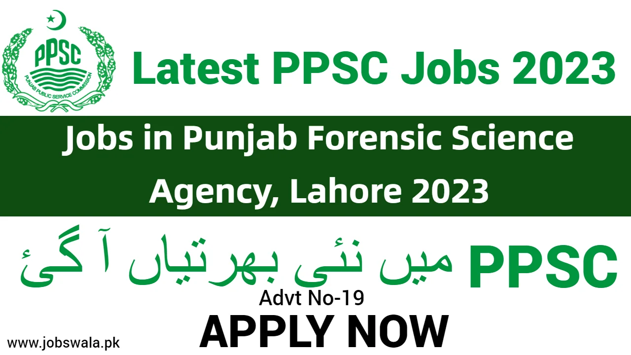 Jobs in Punjab Forensic Science Agency,