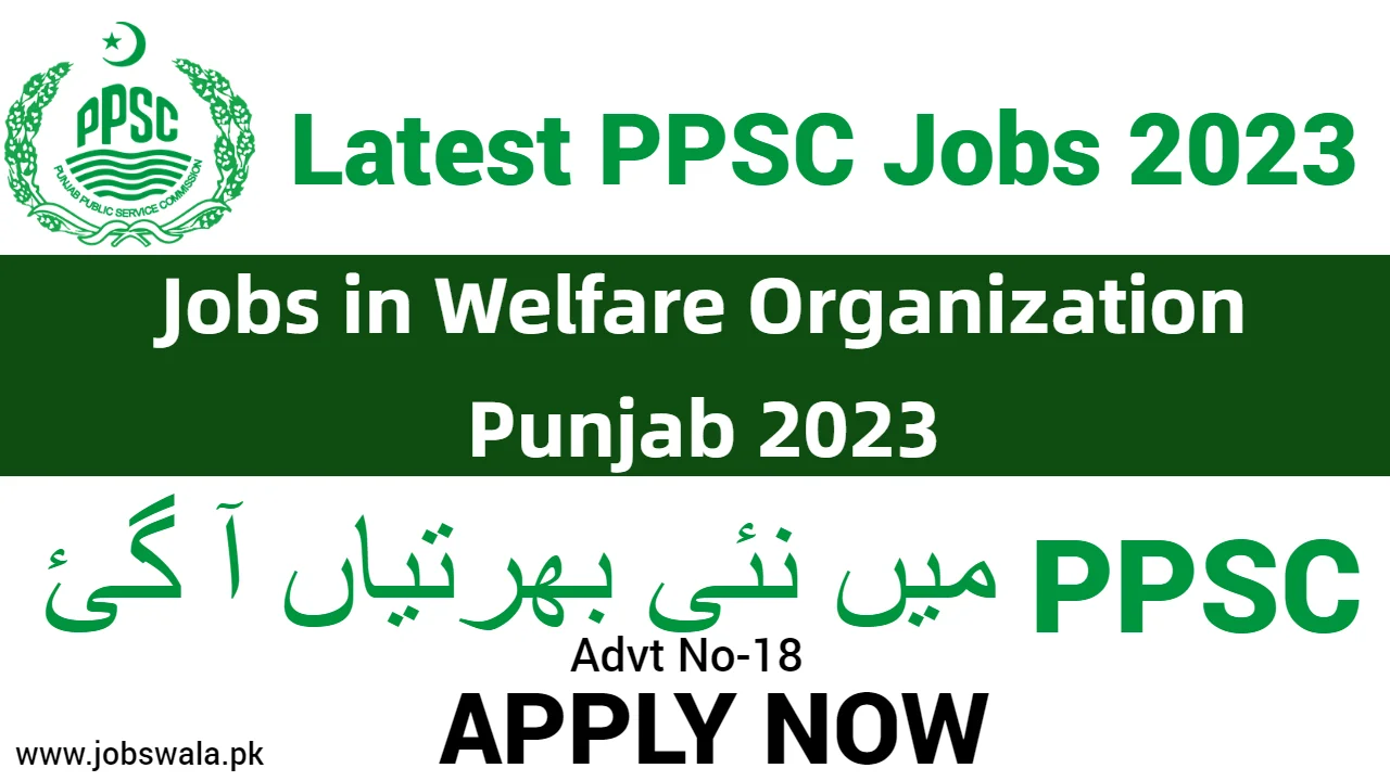 Jobs in Welfare Organization Punjab 2023